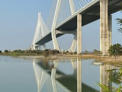 -芒洲湿地公园