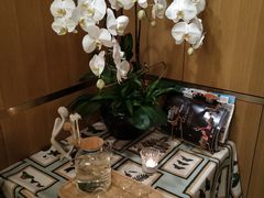 -蝶舍·MAISON PAPILLON