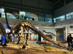 -自贡恐龙博物馆