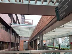 -香港大学