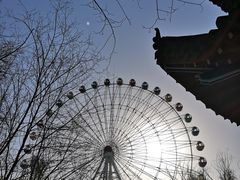 -青城公园