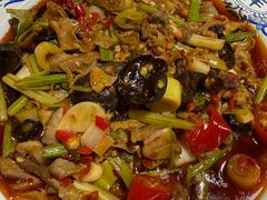 -青城甲(青城山店)