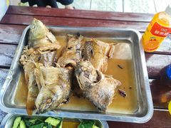 -尚庄度假村·庭台树下·户外烧烤·团建CS·轰趴营地(上庄水库店)