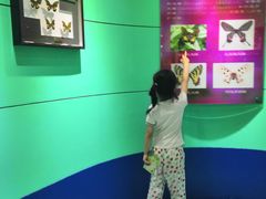 -上海昆虫博物馆