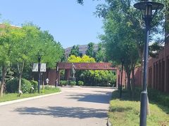 -天津市南开中学滨海生态城学校