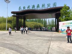 -黄海国家森林公园