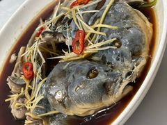 -煲来饱去冷水鱼
