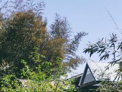 -北京西山国家森林公园