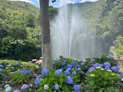 -宜兴龙背山森林公园