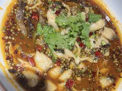 -阿西娅食府(中关村店)