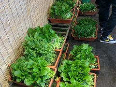 -聚缘堂·海鲜私房菜(松岭路店)