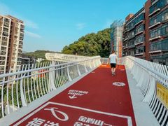 -金鸡山公园