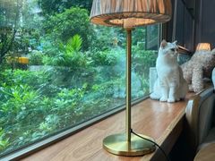 -咖法森林·咖啡  酒吧(天河店)