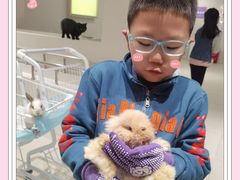 -怪兽屋·羊驼·猫咖·狗咖(俊华广场店)