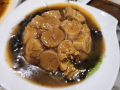-海王老记