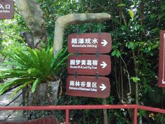 -呀诺达热带雨林