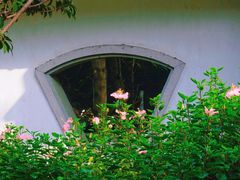 -海珠湖公园
