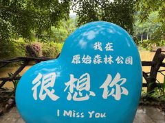 -西双版纳原始森林公园