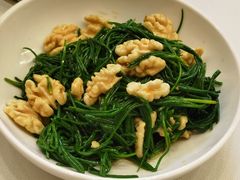 果仁爱沙葱-九十九顶毡房(阜石路店)