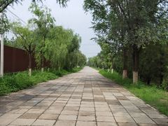 -绿堤公园