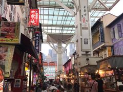 -101花果山山芭榴莲(史密斯街店)