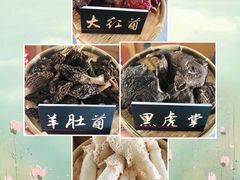 -爱膳菌锅锅(阳南店)