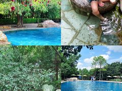 -湖泉半山温泉(湖泉生态园)