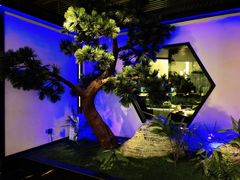 -绿茶餐厅(成都大悦城店)