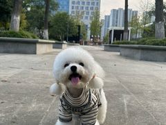 -萌宠主义宠物生活馆(金山路店)