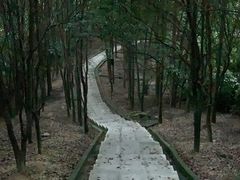 -火炉山森林公园
