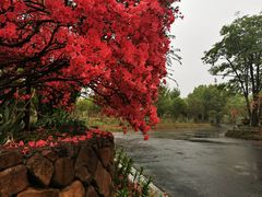 -杭州六谷生态休闲农庄有限公司