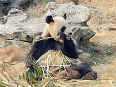 -杭州野生动物世界