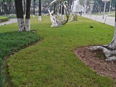 -重庆市江北嘴中央商务区中央公园