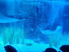 -沈阳海洋探索中心