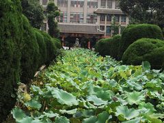 -四川大学(华西校区)