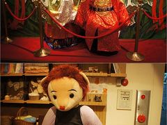 -济州岛泰迪熊博物馆