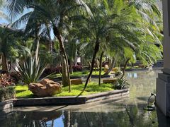 -海南清水湾莱佛士酒店