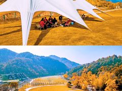 -千年银杏谷文化旅游区