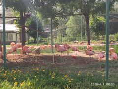 -石家庄市动物园