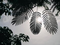 -东山湖公园