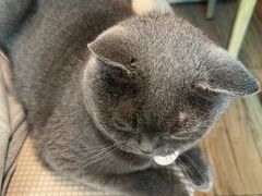 -春笙食堂.丼饭拉面寿司(GOGO新天地店)