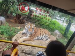-栾川竹海野生动物园