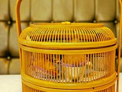 -粤点王茶楼(海丰店)