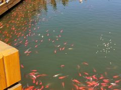 -卧龙湖