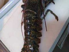 -盒马鲜生(曜一城店)