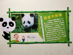 -东莞香市动物园