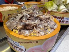 -龍歌自助小火锅(市南金茂湾店)
