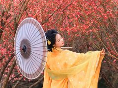 -苏州盘门景区人民桥南地铁站亚朵X酒店