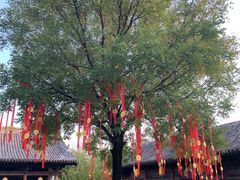 -司马温公祠
