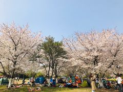 -石湖景区